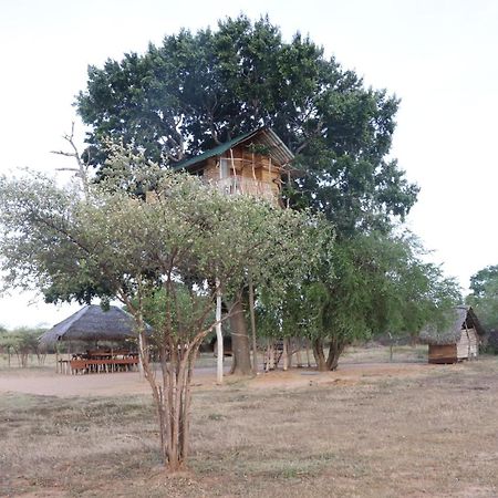 Hotel Yala Dream Park Exterior foto