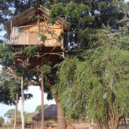 Hotel Yala Dream Park Exterior foto
