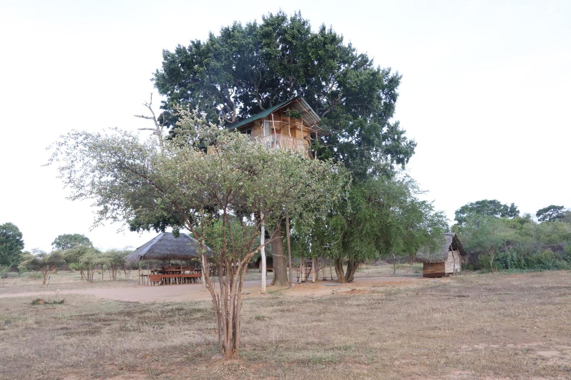 Hotel Yala Dream Park Exterior foto