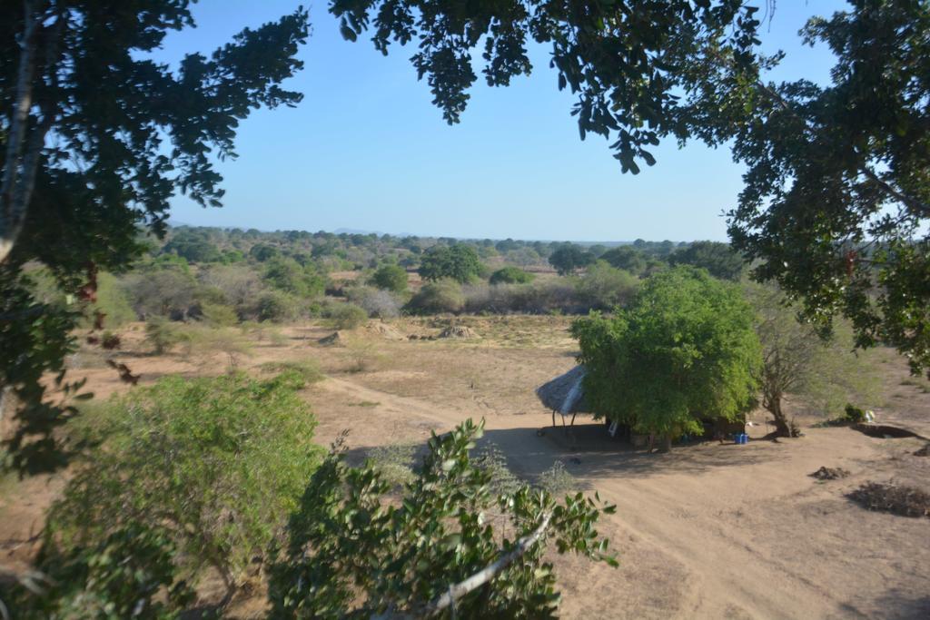 Hotel Yala Dream Park Exterior foto