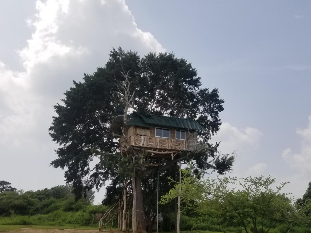 Hotel Yala Dream Park Exterior foto